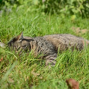 DSC_8535_00001n.jpg