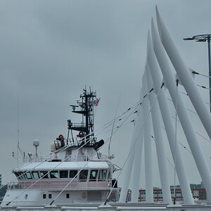 Texel 2021-002.jpg