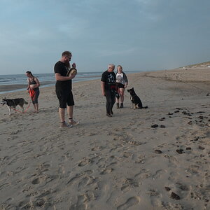Texel 2021-012.jpg