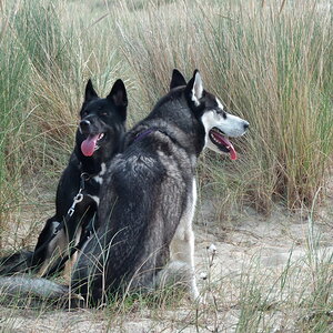 Texel 2021-014.jpg