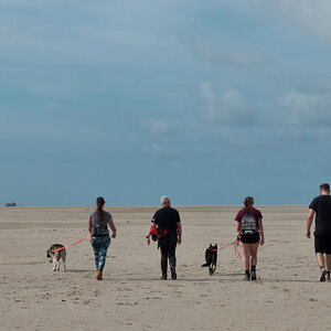 Texel 2021-016.jpg