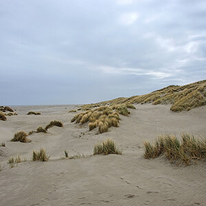 DSC_0467.jpg