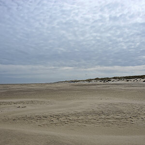 DSC_0472.jpg