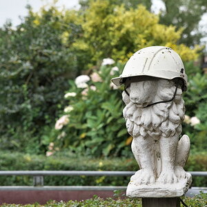 DFX_0380.jpg