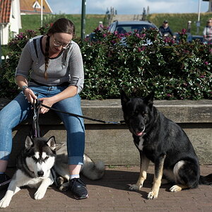 Texel 2021-063.jpg