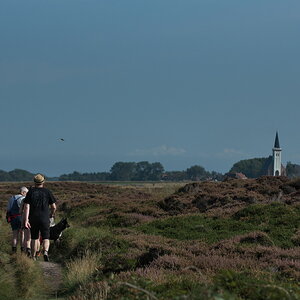 Texel 2021-088.jpg