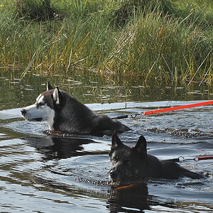Texel 2021-094.jpg
