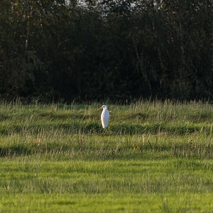 20210928-D50_3533-Bearbeitet.jpg