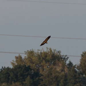 20210928-D50_3557-Bearbeitet.jpg