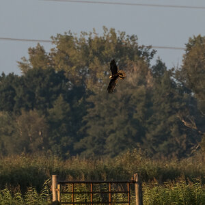 20210928-D50_3561-Bearbeitet.jpg