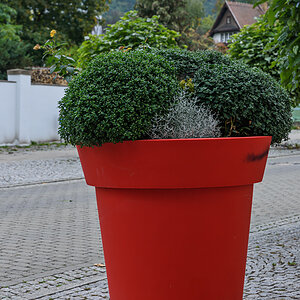 OF2_53640.jpg