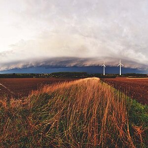WES_8789-Pano.jpg
