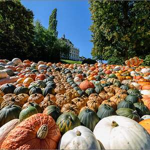 D75_4857.jpg