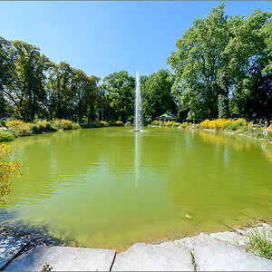 D75_4894.jpg