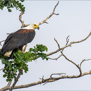 D72_2587-Bearbeitet.jpg