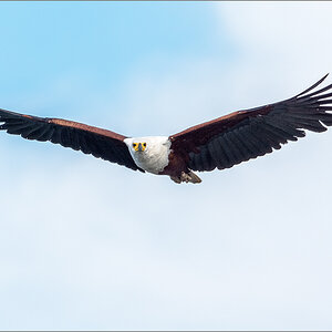 D72_2630-Bearbeitet.jpg