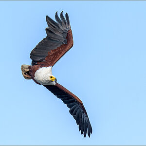 D72_2633-Bearbeitet.jpg