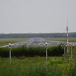 D6_16116.jpg