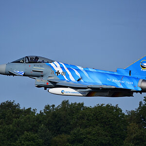 D6_14462.jpg