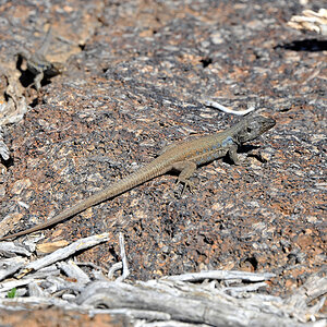 DSC_5882.jpg
