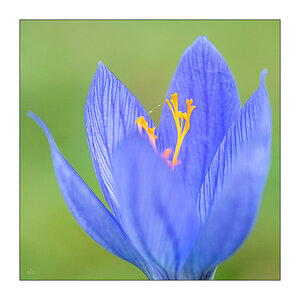 280/365