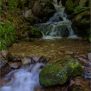 D75_8183.jpg