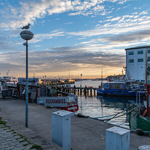 211008 AL566 NF-F-4.jpg