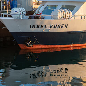 211008 AL566 NF-F-16.jpg