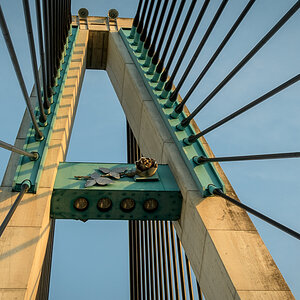 2021-05-15_Tulln_Rosenbrücke_0010.jpg