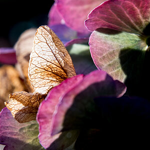 20211009-D50_3650.jpg