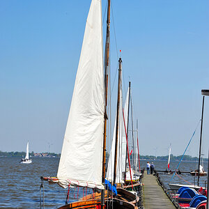 Dümmer See.jpg