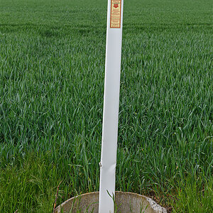 OF2_49309.jpg
