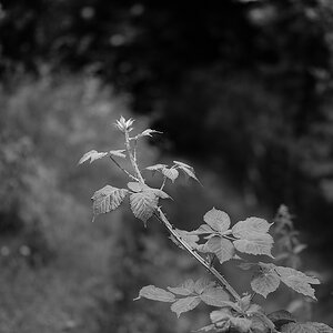 P1047339a_klein.jpg