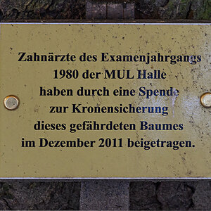 OF-49149.jpg
