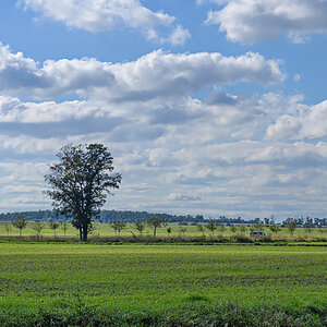 OF2_54065.jpg