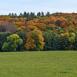 OF2_44459.jpg