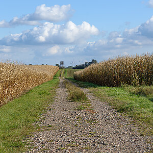 OF2_54224.jpg