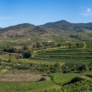 20211014-NZ6_5170-Pano.jpg
