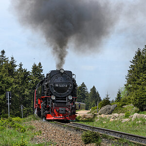 OF-55900.jpg