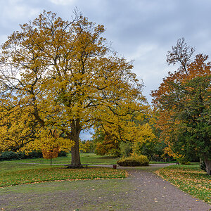 OF2_44515.jpg