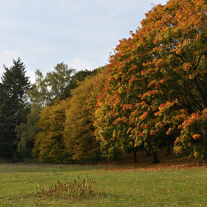 DSC_9025.JPG