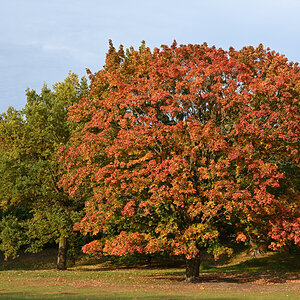 DSC_9012.JPG