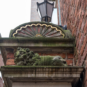 20210923-D50_2967.jpg