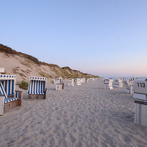 DSC_8894.JPG