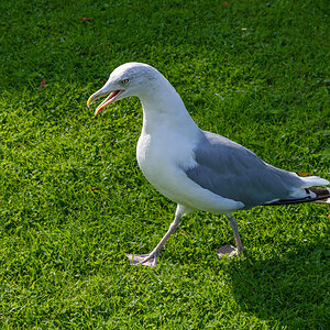OF2_52712.jpg