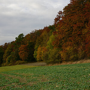 811_7965t5l10s60p1.jpg