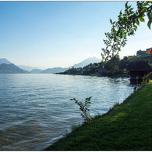 454 Schweiz – In Merlischachen gegen Abend am See (2013)