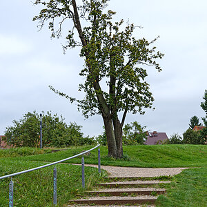 OF2_51981.jpg