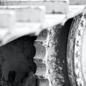 DSC_6185.jpeg