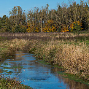 Herbstliche Aue 2 (1 von 1).JPG